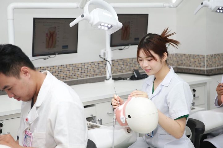 Assistante dentaire en formation pratique aux côtés d'un dentiste