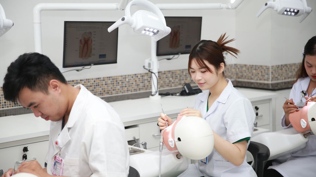 Assistante dentaire en formation pratique aux côtés d'un dentiste